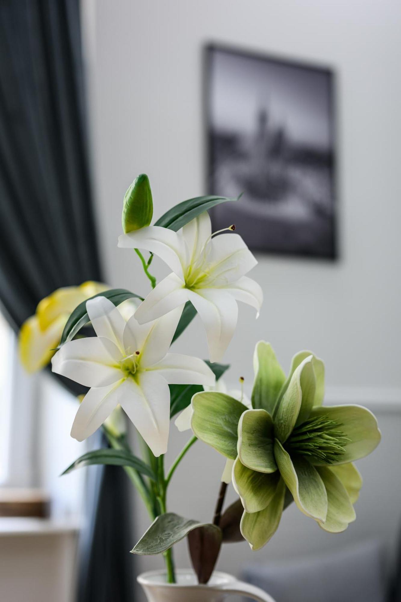 Native Apartments Sereno Fenn'A 5 クラクフ エクステリア 写真